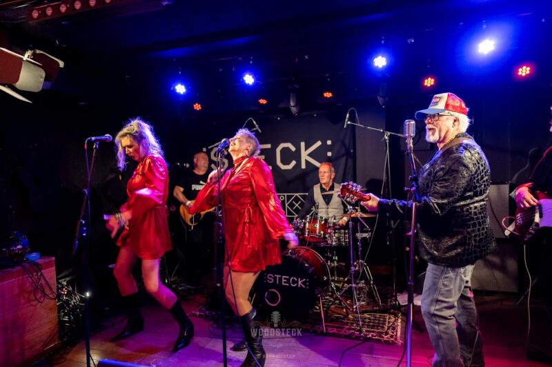 25 Horse Steck Foto Hans Dunlop Z7F4449