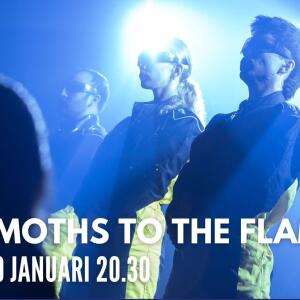 Moths to the Flame | Nachtmotten