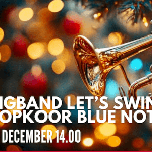 Kerstmatinee 