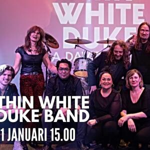 Thin White Duke Band